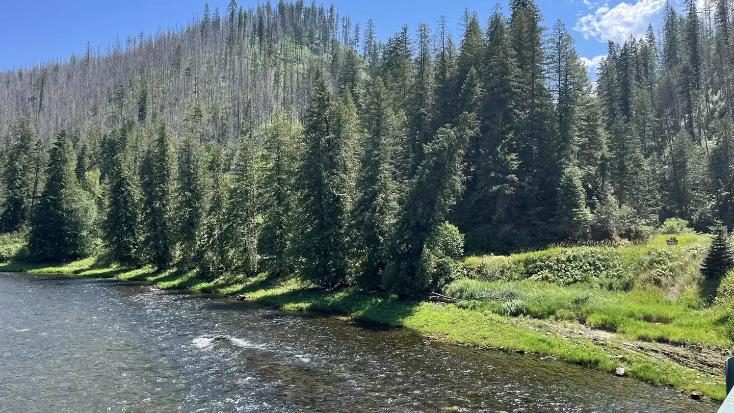 Nez Perce-Clearwater National Forest