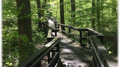 Adirondack Shelters