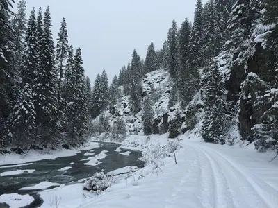 Winter on the North Fork of the Saint Joe River (25571229297)