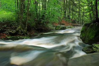 Upper Rock Run Gorge (1) (19232150510)
