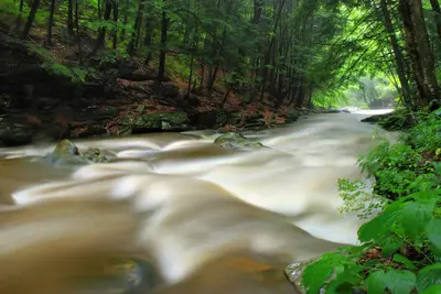 Upper Rock Run Gorge (4) (19423895671)