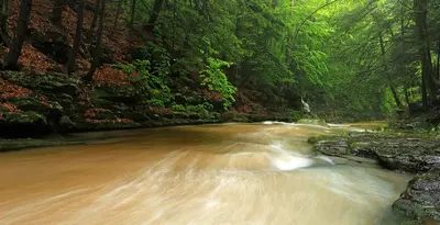 Upper Rock Run Gorge (2) (18797262074)