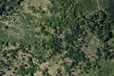 Camp site