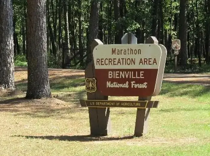 Welcome to Bienville National Forest