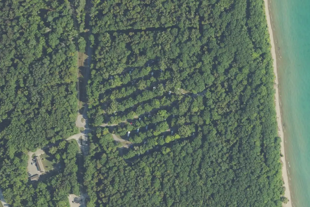 Aerial view