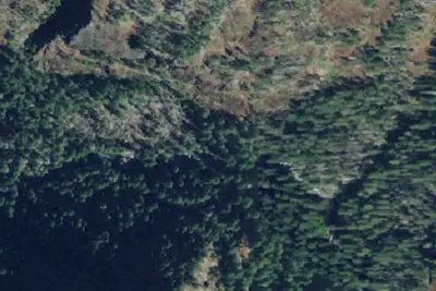 Five Mile Camp