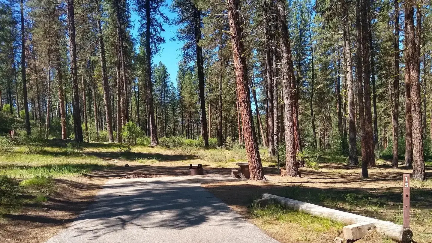A partially shaded campsite with a paved driveway.