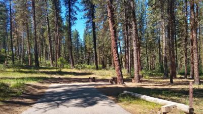 Grayback Gulch