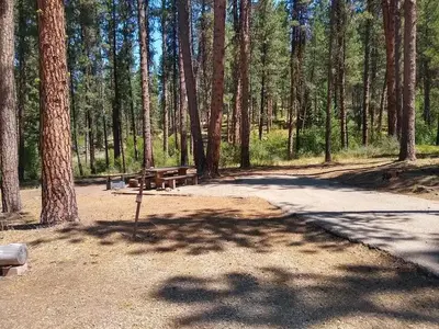 A paved driveway leading to a partially shaded single campsite.