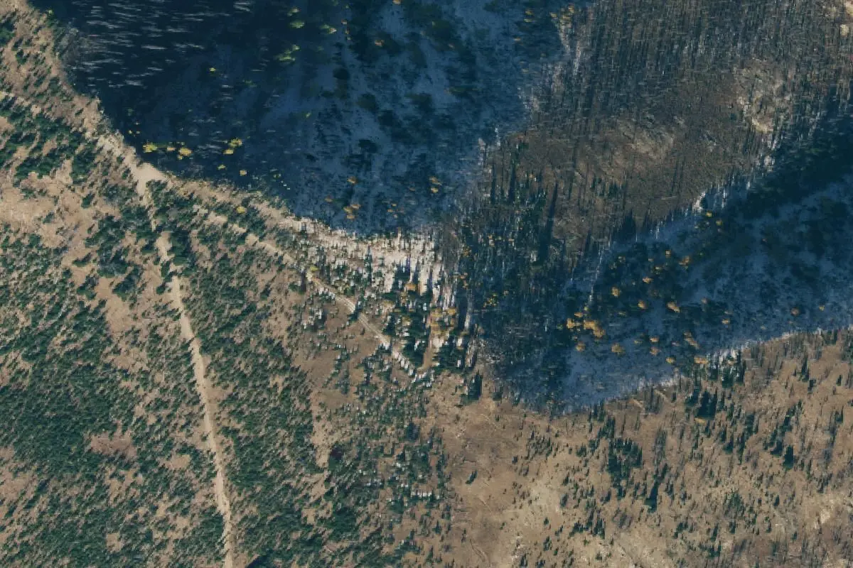 Aerial view