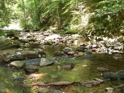 Creek running alongside campground