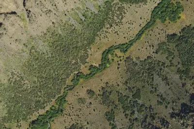 Camp site