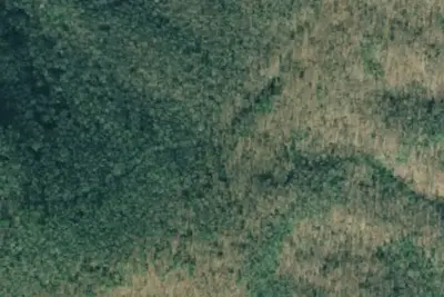 Camp site