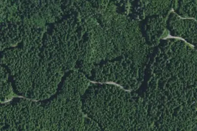 Camp site