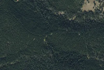 Bear Fork Road-003