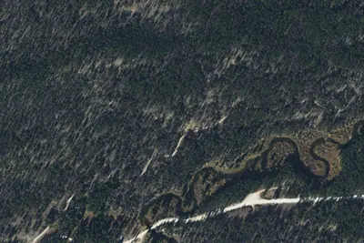 Pole