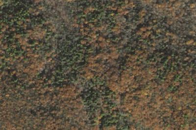 Primitive Campground