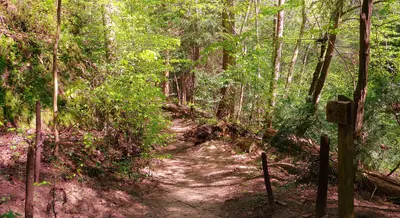Lawrence County, AL, USA - panoramio
