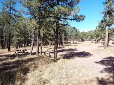 Site 37
