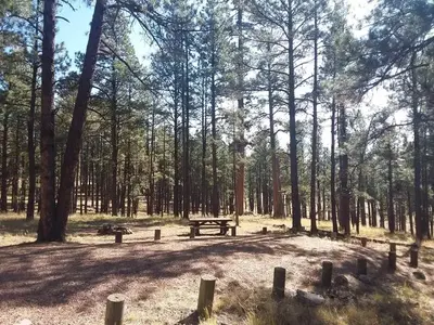 Luna Lake Site 27