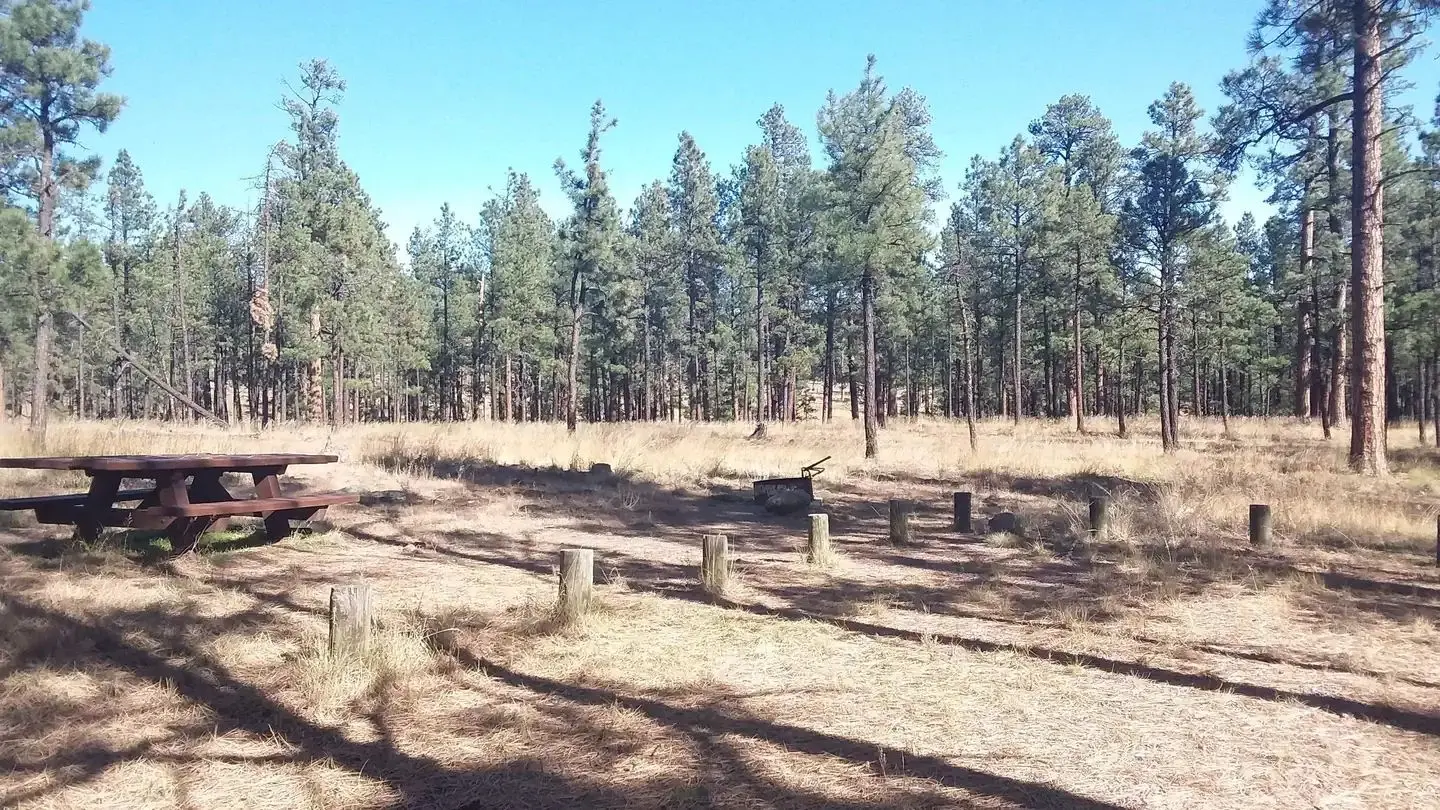 Luna Lake Site 32