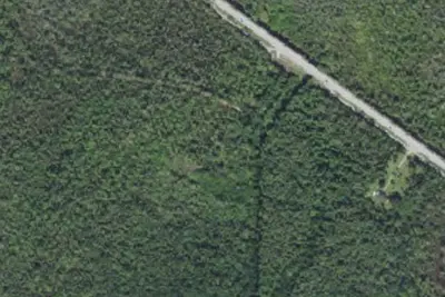 Camp site