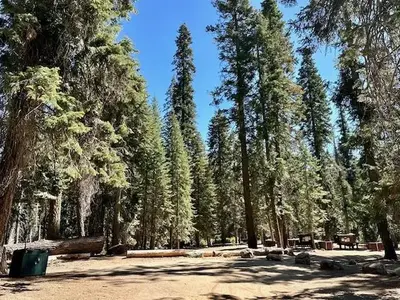 Fir Group Campground/4