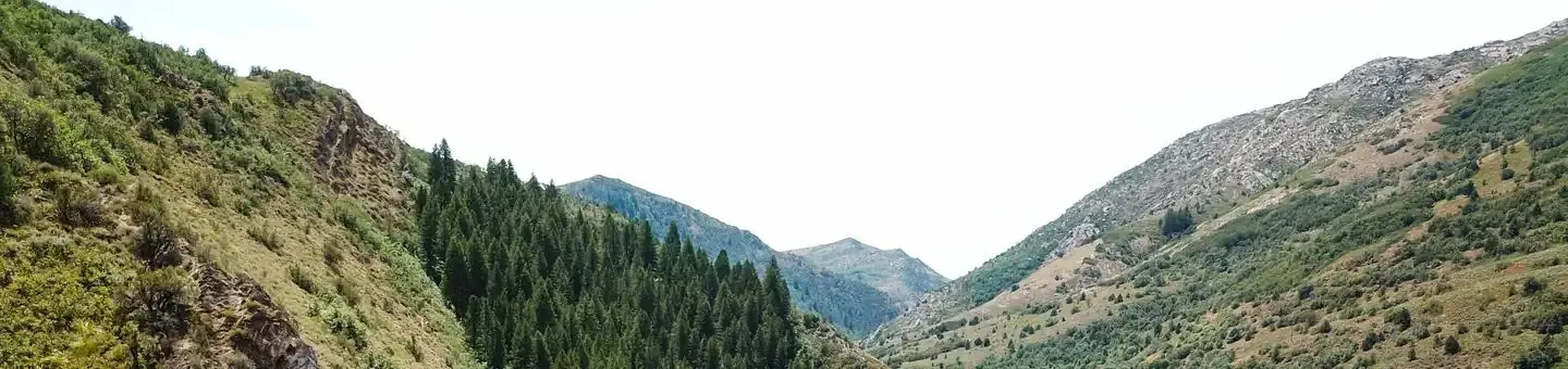 Botts Campground