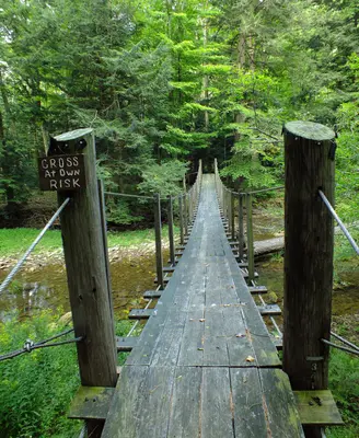 Flickr - Nicholas T - Hammersley Fork (2)
