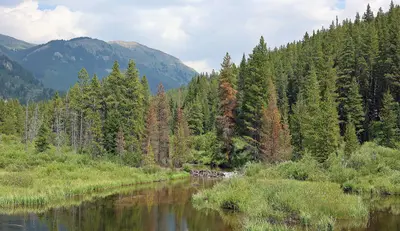 East Fork Eagle River