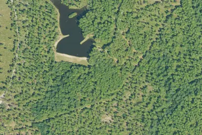Long Leaf Horse Camp
