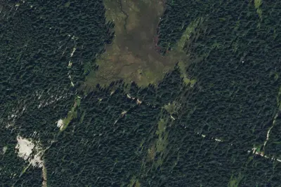 Frogpond Basin Rd-001
