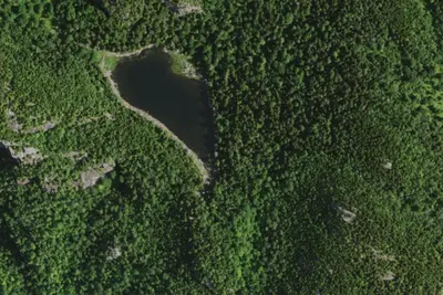 Camp site (NYSDEC)