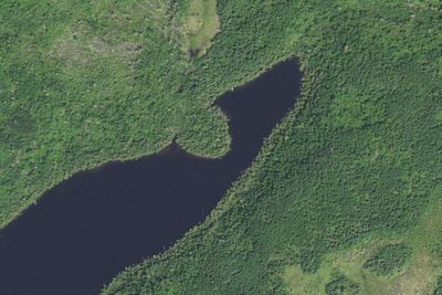 Partridge Lake #3