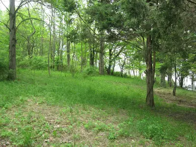 Overview of Kappa V