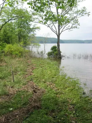 Shoreline at Kappa V