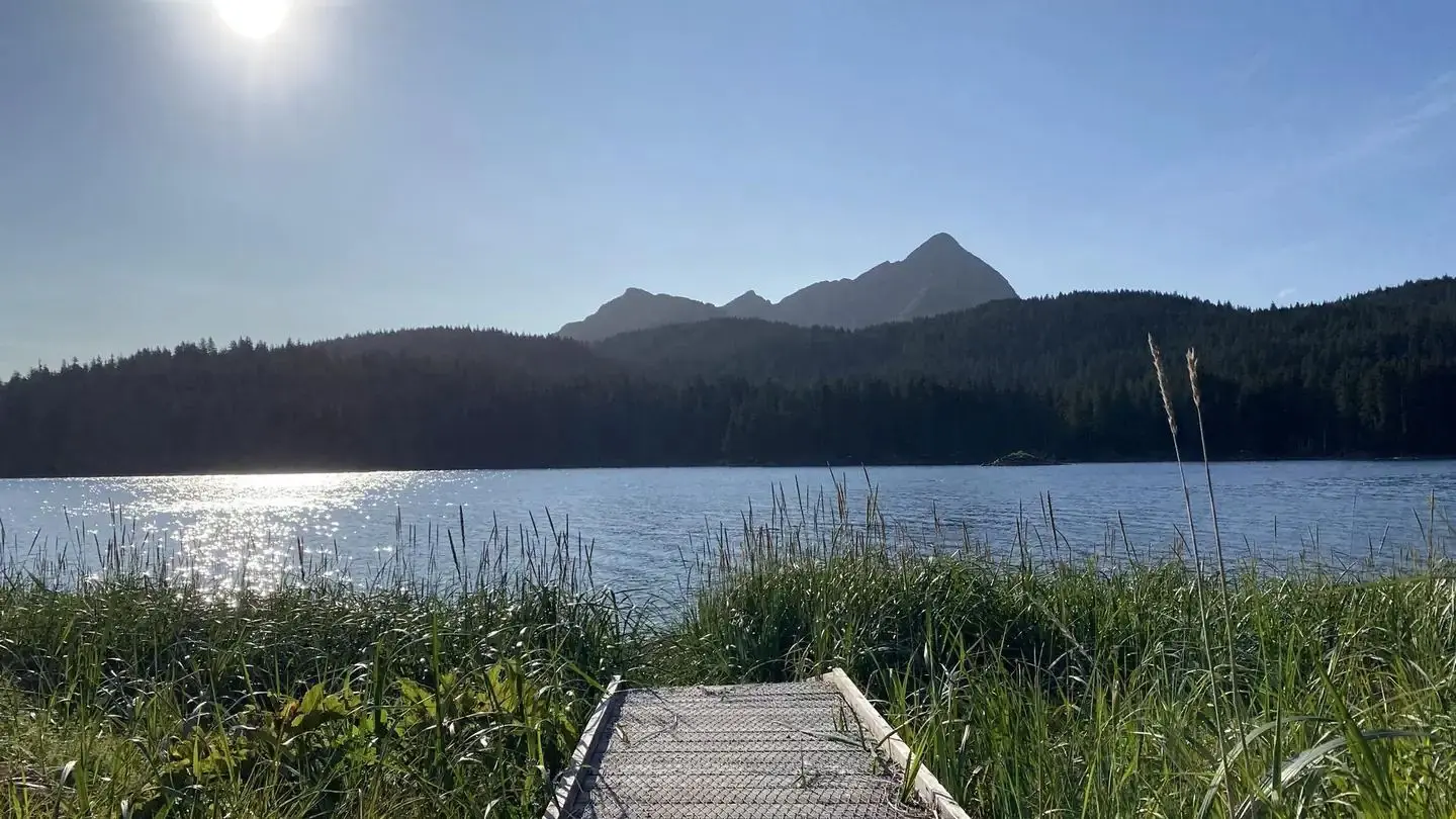 View of Red Peak over spruce tree line under blue sky in distance with Blue Fox Bay reflecting sun beyond a boardwalk surrounded by tall green grasses