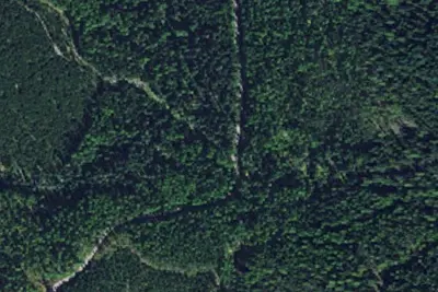 Clearwater Loop 04