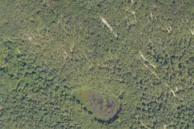 Site 9