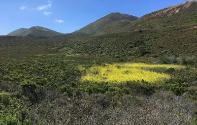 Spooner History - Site of Pecho Ranch Reservoir MdO