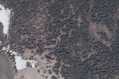 Marlette Peak Campground