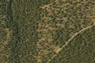 Forest Road 169 Camping Area