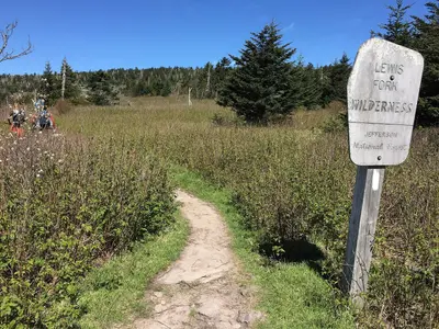 2017-05-16 10 31 00 View south along the Appalachian Trail entering the Lewis Fork Wilderness, within the Mount Rogers National Recreation Area in Grayson County, Virginia
