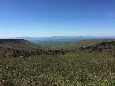 2017-05-16 11 17 02 View south from the Appalachian Trail on the southeast side of Mount Rogers, within the Lewis Fork Wilderness of Grayson County, Virginia