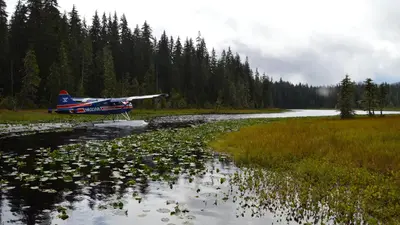 Peterson Lake Cabin