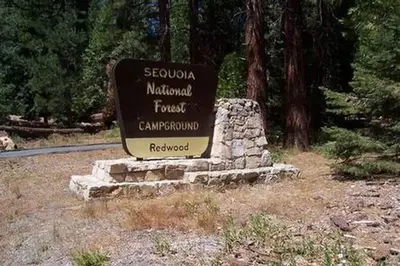 Redwood Meadow