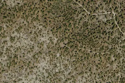 Bluff Mesa Group Campground