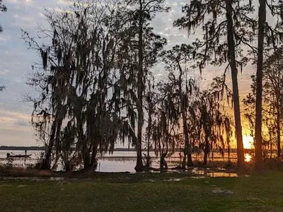 Lake view