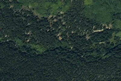 Camp site