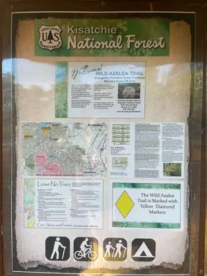 Kisatchie National Forest, Evangeline Camp 04